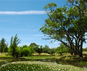 Wirraminna Environmental Education Centre - thumb 0