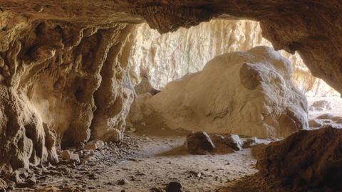 Borenore Karst Conservation Reserve - Accommodation Bookings 1
