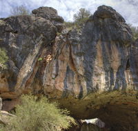 Borenore Karst Conservation Reserve - Accommodation Bookings