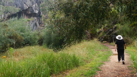 Borenore Karst Conservation Reserve - Accommodation Bookings 3
