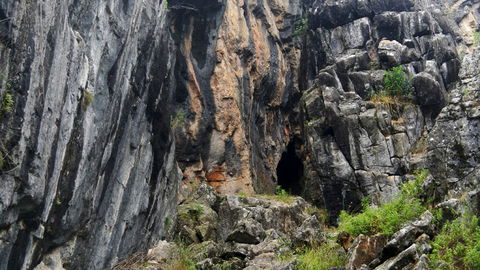 Borenore Karst Conservation Reserve - Accommodation Bookings 2