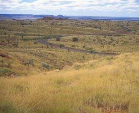 Mount Herbert - Accommodation Bookings 0