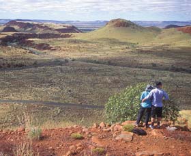 Mount Herbert - Accommodation Bookings 1