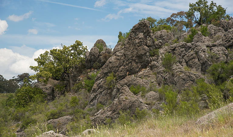 Lidster NSW Accommodation Bookings