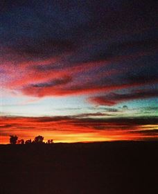 Big Springs NSW Accommodation Bookings