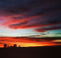 Springview Eco-Farm - Accommodation Bookings