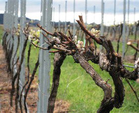 Stockmans Ridge Wines - Accommodation Bookings 2