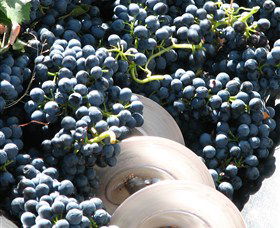 Orange Mountain Wines - Accommodation Bookings 2