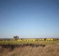 Cootamundra Bird Walk - Accommodation Bookings
