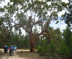 Warialda NSW Accommodation Bookings