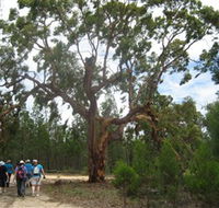 Koorilgur Nature Reserve - Accommodation Bookings