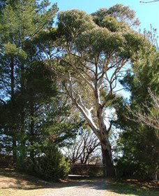 Habitat Vineyard - Accommodation Bookings 1