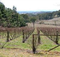 Habitat Vineyard - Accommodation Bookings