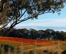 Bloodwood Estate - Accommodation Bookings 0