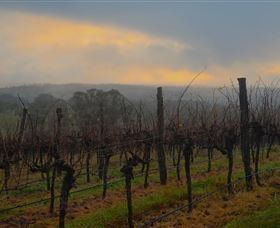 Bloodwood Estate - Accommodation Bookings 1