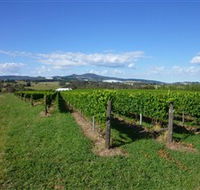 Hedberg Hill Wines - Accommodation Bookings