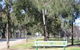 Memorial Avenue In Cowra - thumb 1
