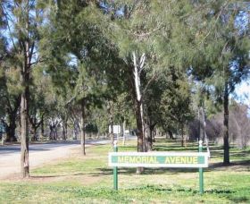 Memorial Avenue In Cowra - Accommodation Bookings 1