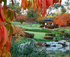 Cowra Japanese Garden And Cultural Centre - Accommodation Bookings 1