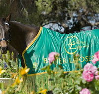 Living Legends The International Home of Rest for Champion Horses - Accommodation Bookings