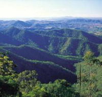 Kroombit Tops National Park - Accommodation Bookings