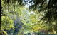 Cook Park Heritage Walk - thumb 0