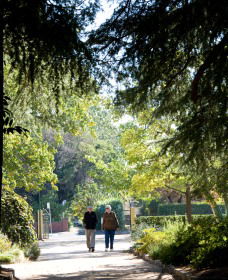Cook Park Heritage Walk - Accommodation Bookings 0