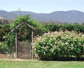 Samaria Farm - Accommodation Bookings 2