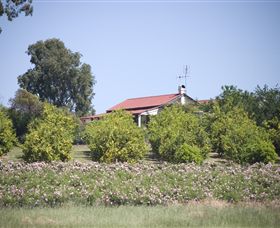 Samaria Farm - Accommodation Bookings 0