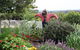 Samaria Farm - thumb 4