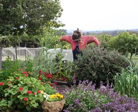 Samaria Farm - Accommodation Bookings 4