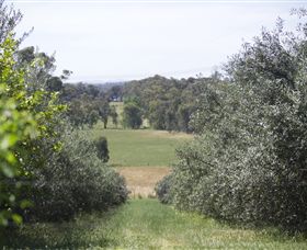 Samaria Farm - Accommodation Bookings 7