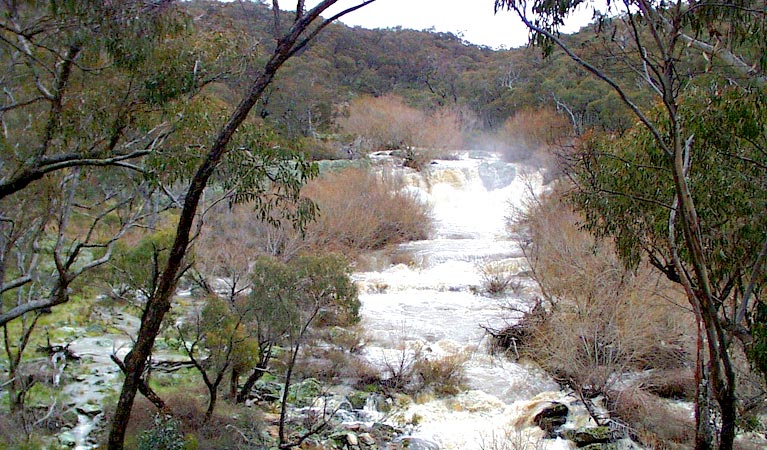 Ophir NSW Accommodation Bookings
