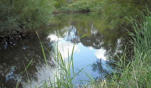 Mullion Range State Conservation Area - Accommodation Bookings 2