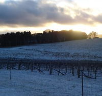 Charles Sturt University Winery - Accommodation Bookings