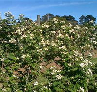 Huntley Berry Farm - Accommodation Bookings