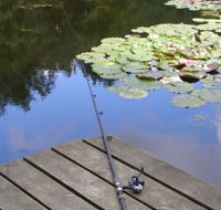 Ophir Reserve - Accommodation Bookings