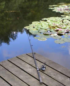 Ophir Reserve - Accommodation Bookings 0