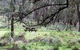 Fourth Crossing Picnic Area - thumb 0