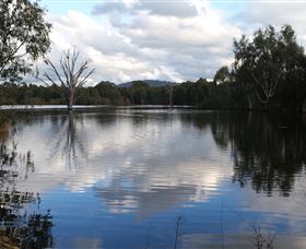 Wonga Wetlands - Accommodation Bookings 1