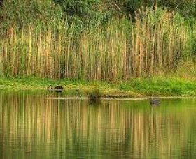 Wonga Wetlands - Accommodation Bookings 2