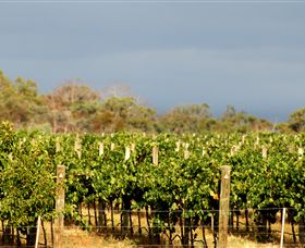 Amulet Vineyard And Beechworth Cider - Accommodation Bookings 7