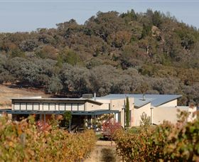 Amulet Vineyard And Beechworth Cider - Accommodation Bookings 8