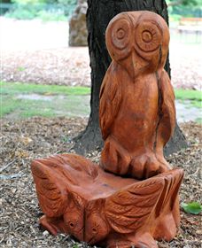 Albury Botanic Gardens - Accommodation Bookings 7