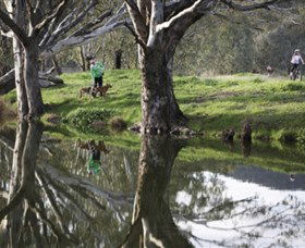 Albury - Murray River Precinct - Accommodation Bookings 3