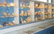 Shell World Yeppoon - thumb 1