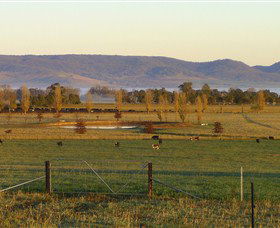 Holbrook NSW Accommodation Bookings
