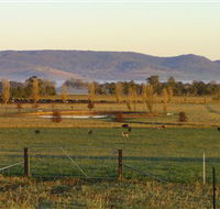 Holbrook Landcare Self-Drive Eco Tour - Accommodation Bookings