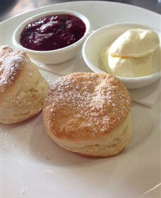 High Valley Cheese Co - Accommodation Bookings 4