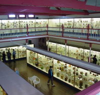 National Museum of Australian Pottery - Accommodation Bookings
